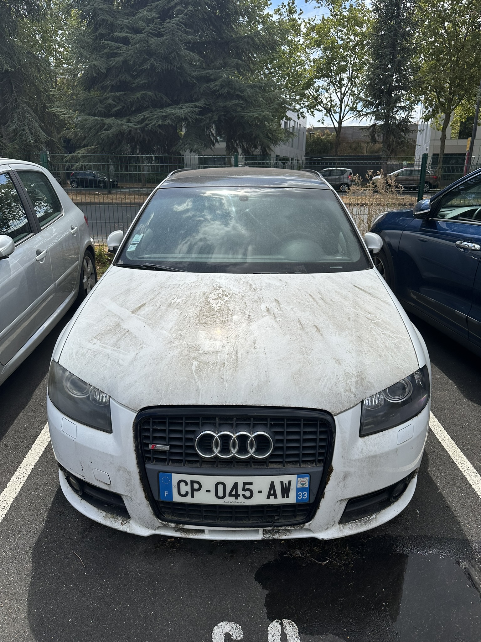 Carrosserie de voiture sale avant lavage extérieur à domicile